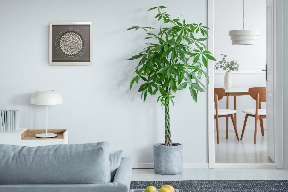 Persian Toreutics Wall Decor Garden Pattern