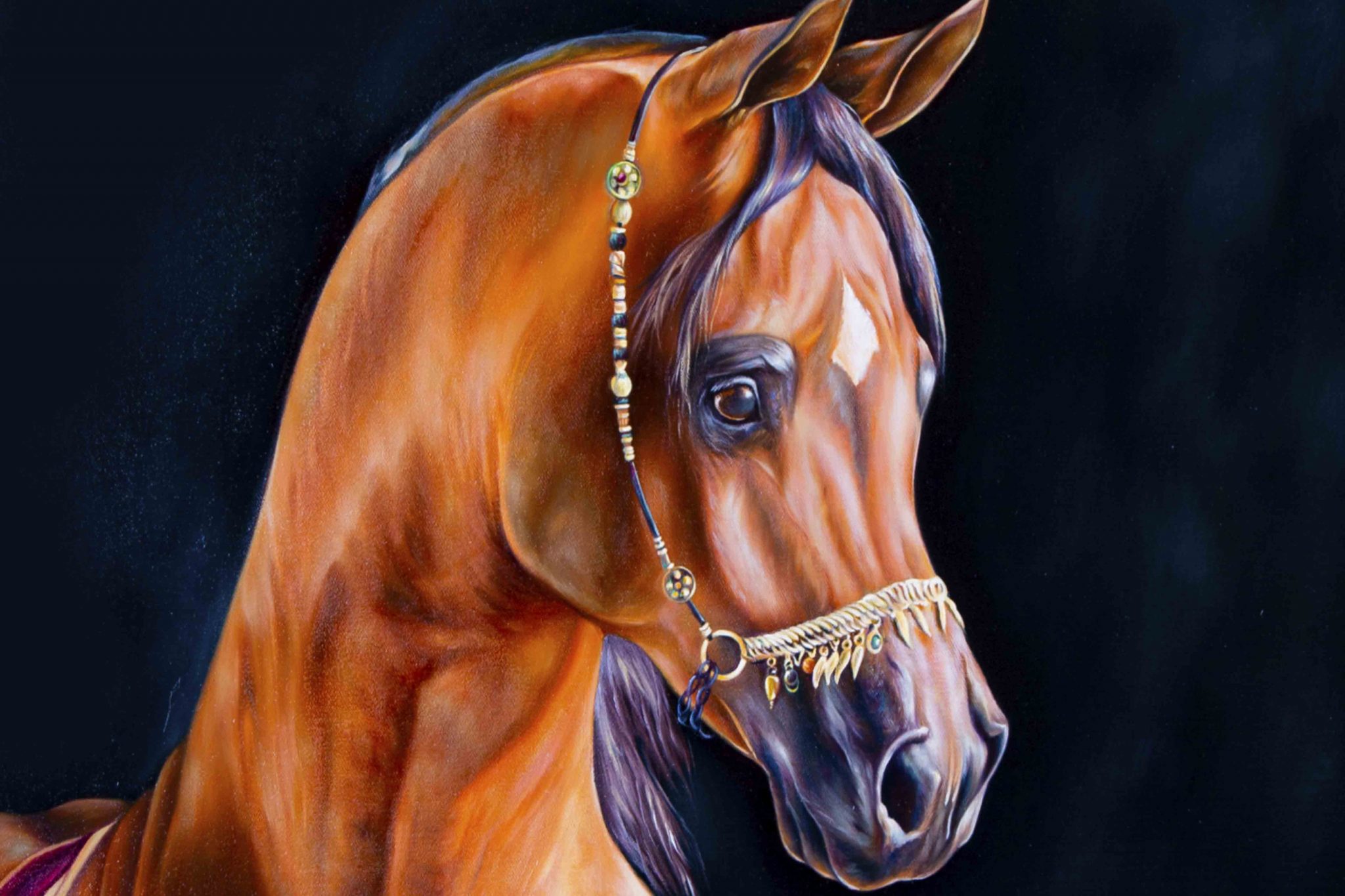 Arabian Horse Oil Painting Craftestan