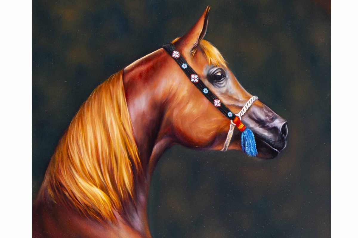 Brown Horse on Black Background Horizontal Oil Painting - Image 2