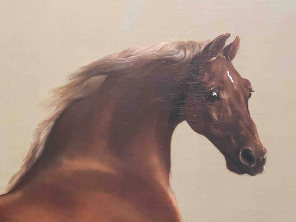 Whistlejacket', an oil-on-canvas painting by George Stubbs, showcasing a rearing Arabian horse against a blank backdrop.