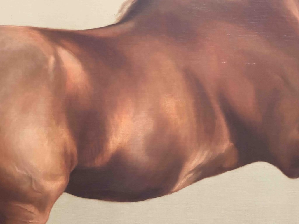 Whistlejacket', an oil-on-canvas painting by George Stubbs, showcasing a rearing Arabian horse against a blank backdrop.