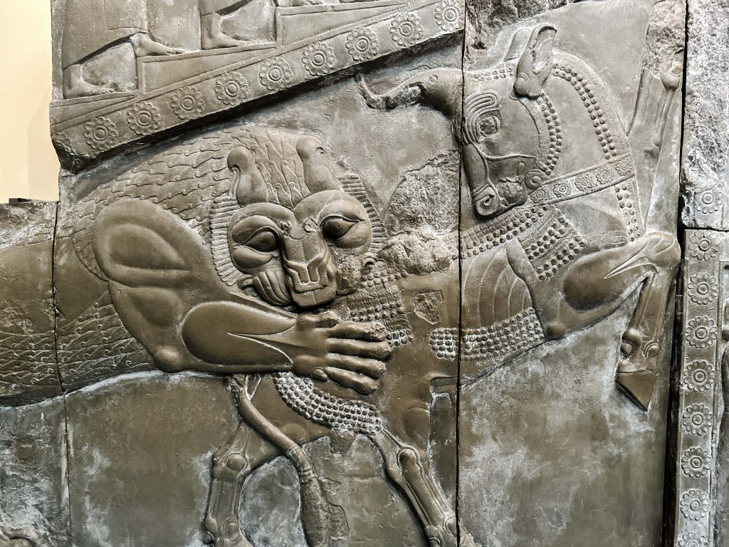 Plaster cast relief from the Palace of Darius showcasing the Persian lion in a confrontational scene with a bull, framed by intricate rosette borders.