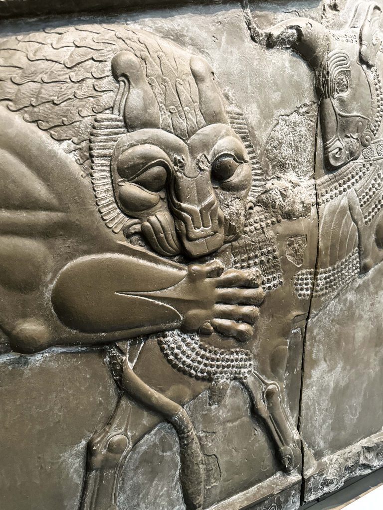 Plaster cast relief from the Palace of Darius showcasing the Persian lion in a confrontational scene with a bull, framed by intricate rosette borders.